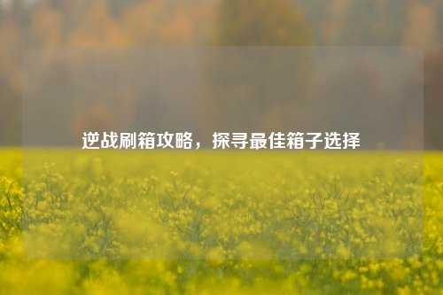 逆战刷箱攻略，探寻最佳箱子选择