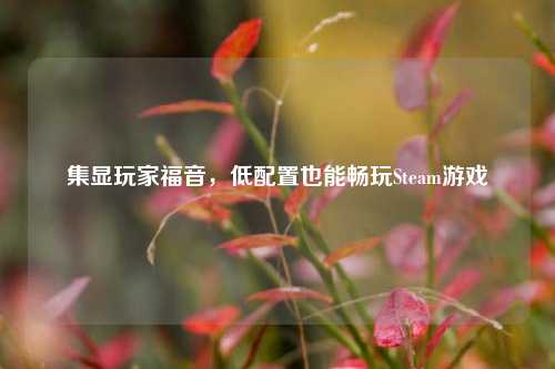 集显玩家福音，低配置也能畅玩Steam游戏
