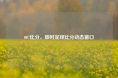 007比分,即时足球比分动态窗口