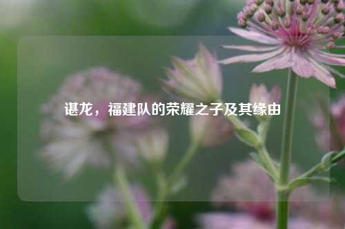 谌龙，福建队的荣耀之子及其缘由