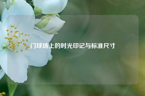 门球场上的时光印记与标准尺寸