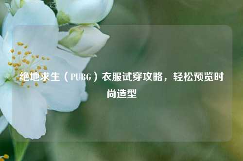 绝地求生(PUBG)衣服试穿攻略,轻松预览时尚造型