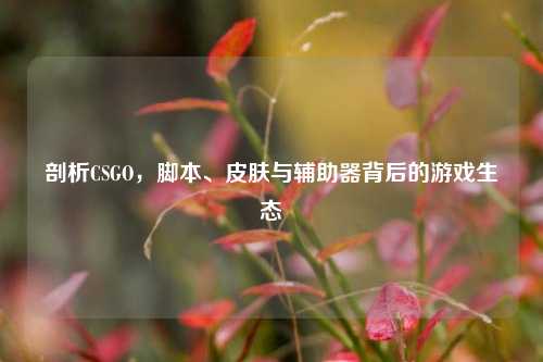 剖析CSGO，脚本、皮肤与辅助器背后的游戏生态
