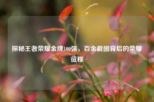 探秘王者荣耀金牌100强，百金截图背后的荣耀征程