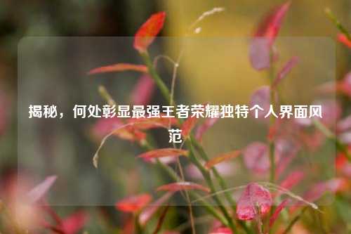 揭秘,何处彰显最强王者荣耀独特个人界面风范
