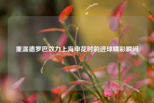 重温德罗巴效力上海申花时的进球精彩瞬间