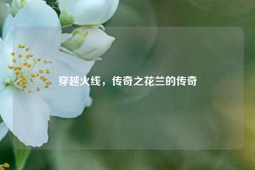 穿越火线，传奇之花兰的传奇
