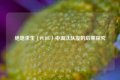 绝地求生（PUBG）中淘汰队友的后果探究