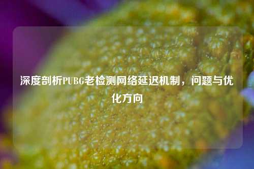 深度剖析PUBG老检测网络延迟机制，问题与优化方向