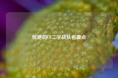 惊艳的CF二字战队名盘点