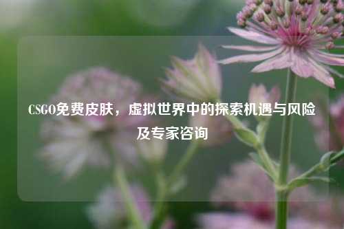 CSGO免费皮肤，虚拟世界中的探索机遇与风险及专家咨询