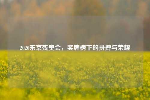 2020东京残奥会，奖牌榜下的拼搏与荣耀