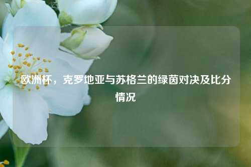 欧洲杯，克罗地亚与苏格兰的绿茵对决及比分情况