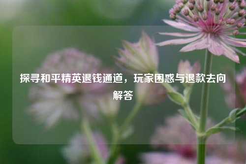 探寻和平精英退钱通道，玩家困惑与退款去向解答