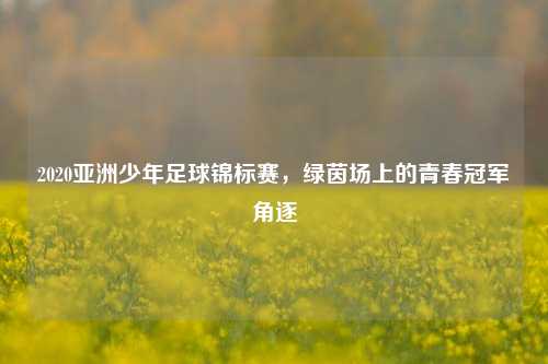 2020亚洲少年足球锦标赛，绿茵场上的青春冠军角逐