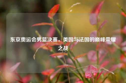 东京奥运会男篮决赛，美国与法国的巅峰荣耀之战