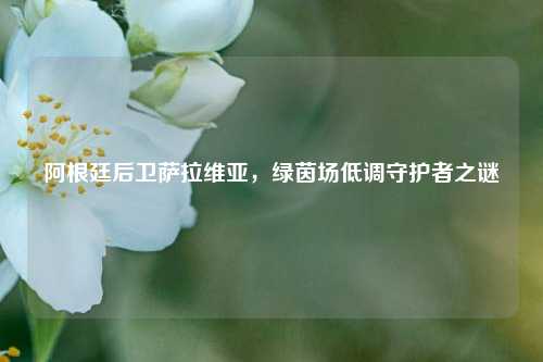 阿根廷后卫萨拉维亚，绿茵场低调守护者之谜
